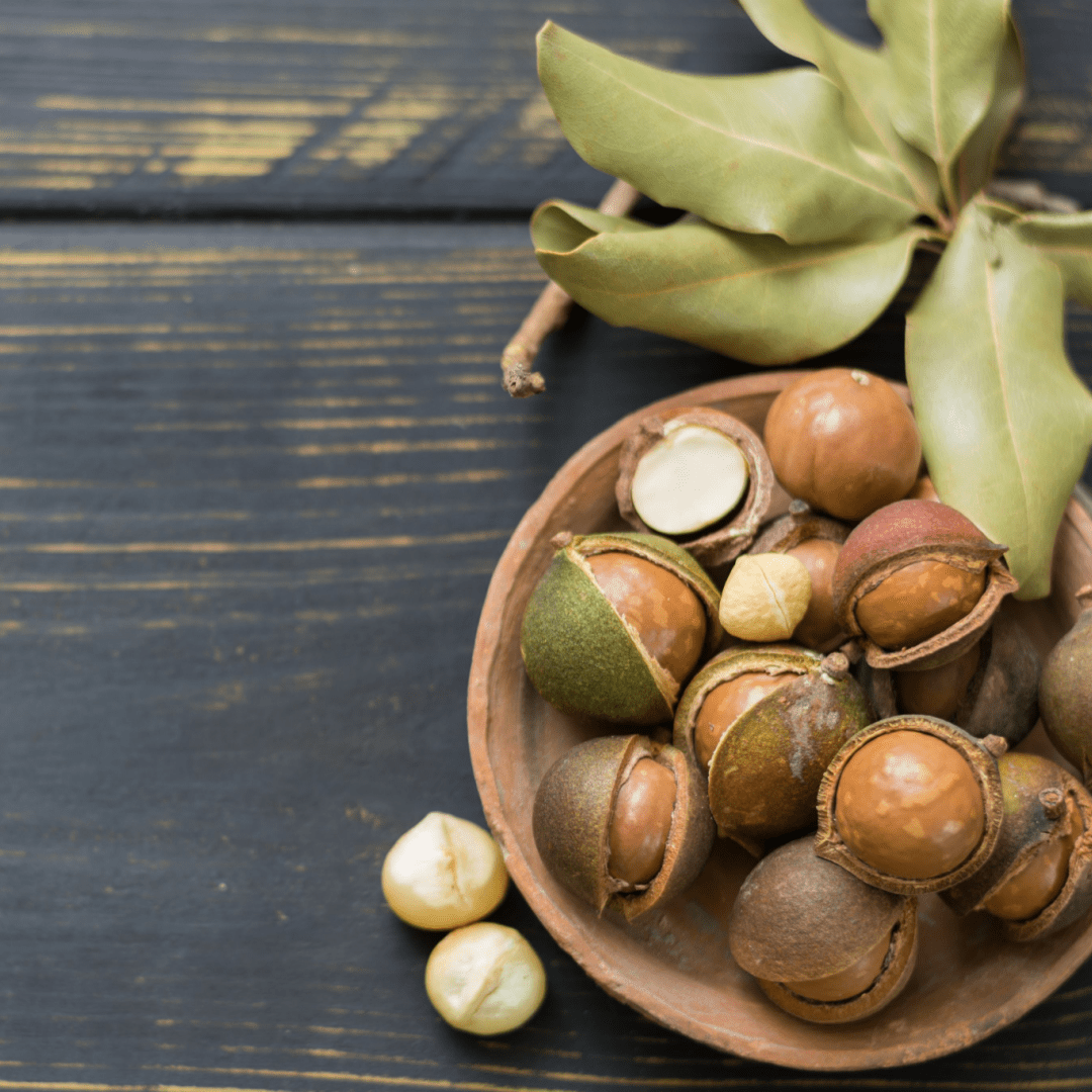 The Vanishing Oil: Macadamia Nut Oil – JustUs Skincare