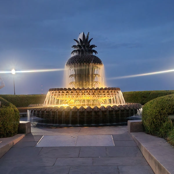 charleston fountain