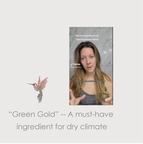 Tips about tamanu green gold from tiktok