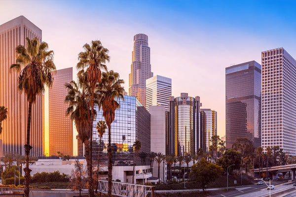 los angeles cityscape