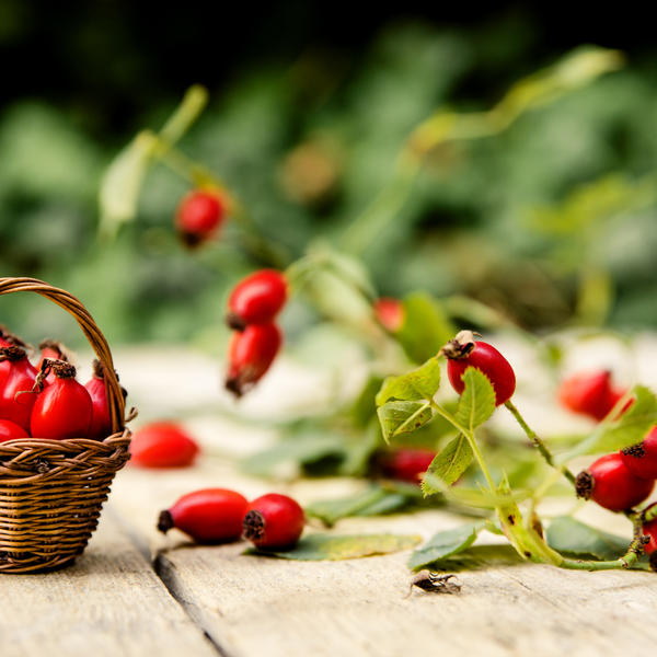 Rosehip Oil