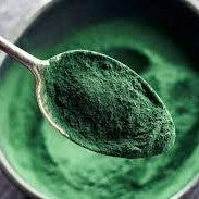 spirulina