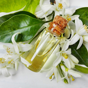 Neroli Orange Blossom Oil