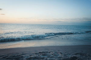 Skincare 101: Ingredients that Work for Every Climate