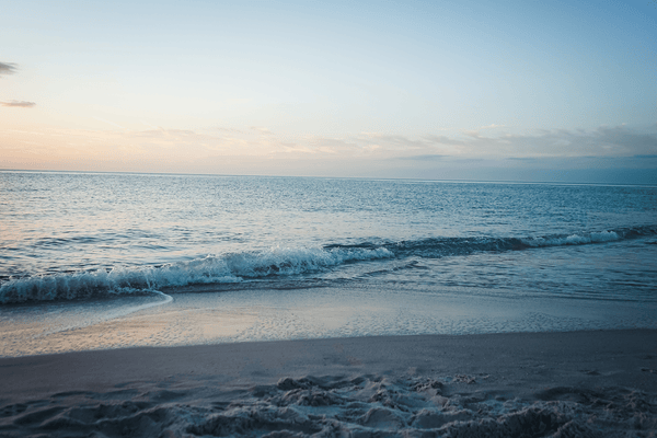 Skincare 101: Ingredients that Work for Every Climate