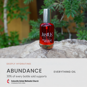 Abundance. Everything Oil — Treatment Oil for Face, Body + Hair