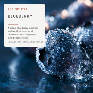 Gentle Exfoliating Blueberry Masque. Brightening Fruit Enzyme – Antioxidant Exfoliation + Glow Revival for Dull or Uneven Tone