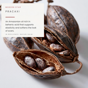 Resilience. Bacuri Balm - Recovery for Dry, Weathered + Reactive Skin + Scarring