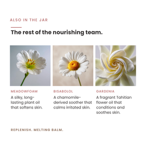 Replenish Melting Balm – Butter Balm for Deep Restoration + Barrier Repair for Sensitive, Mature, and Compromised Skin