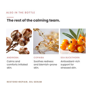 Restore+Repair. Rain Forest Oil Serum - Irritation, healing, redness, wrinkles, sagging, blemish relief with Bakuchiol + Andiroba + Tamanu Oils