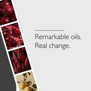 Abundance. Everything Oil — Treatment Oil for Face, Body + Hair