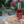 Abundance. Everything Oil — Treatment Oil for Face, Body + Hair