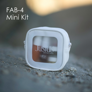 FAB-4 Mini Kit