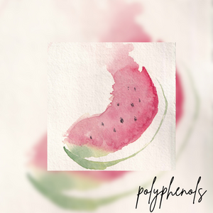 watermelon watercolor representing polyphenols