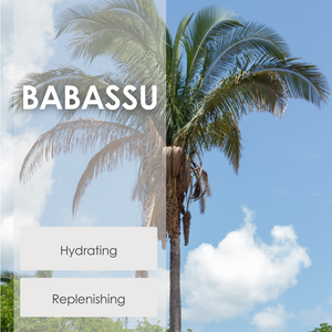 Bare. Cleansing Oil Balm- Gentle Daily Wash for Sensitive, Hormonal, or Post-Menopausal Skin