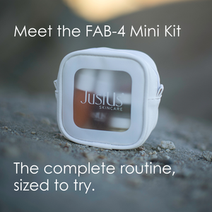 FAB-4 Mini Kit