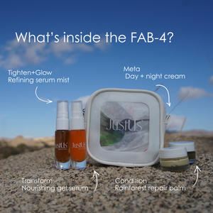 FAB-4 Mini Kit