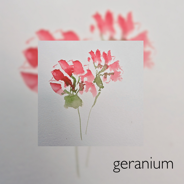 Pink Promise. Protection Gel Cream – Barrier Strength + Restorative Hydration for Fragile or Stressed Skin